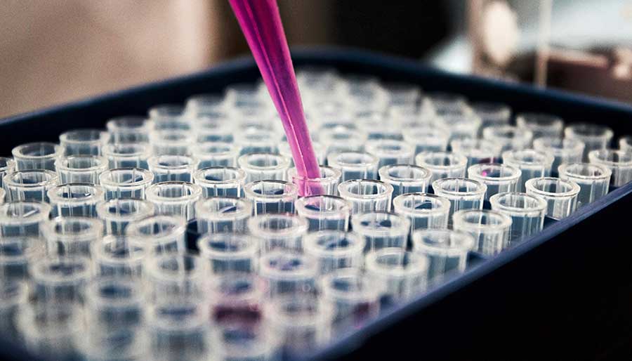 Clinical Trial Sizes